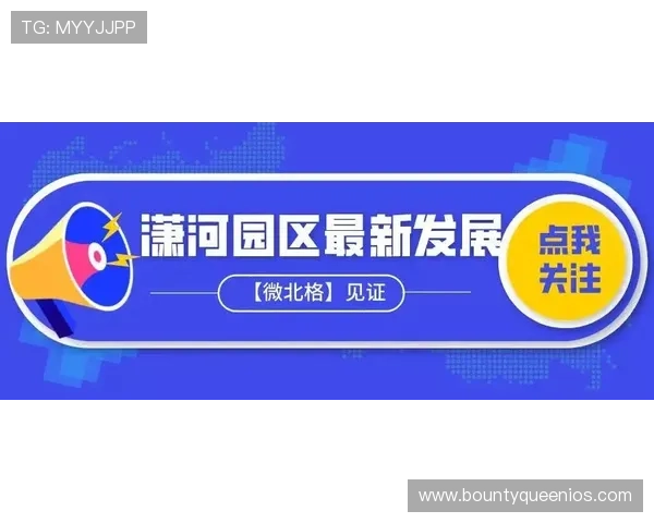 免佣百家乐规则详解让你轻松掌握游戏技巧提升胜率